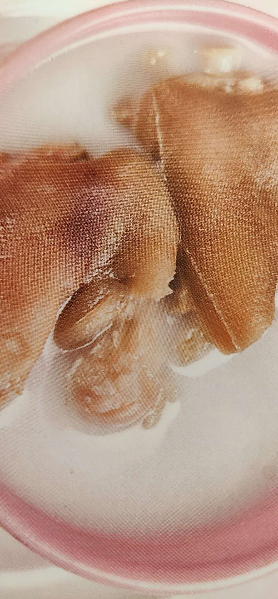 催乳第一药:王不留行